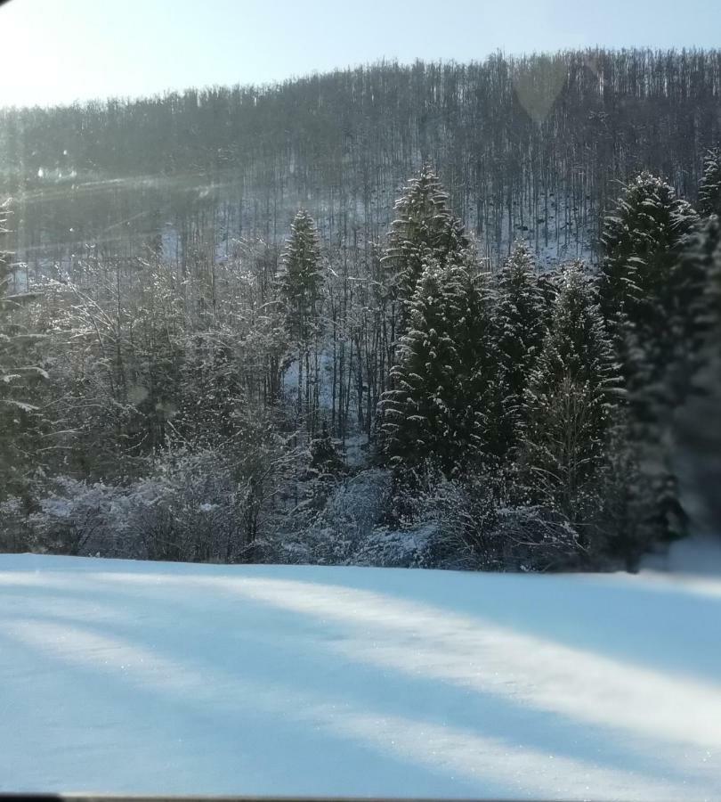 Willa Vrata Pri Cepovanu Zewnętrze zdjęcie